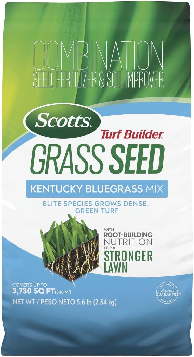 Scotts Turf Builder Grass Seed Kentucky Bluegrass Mix with Fertilizer