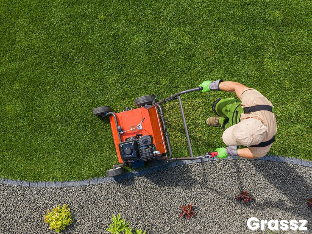 When to Aerate Your Lawn in Michigan?