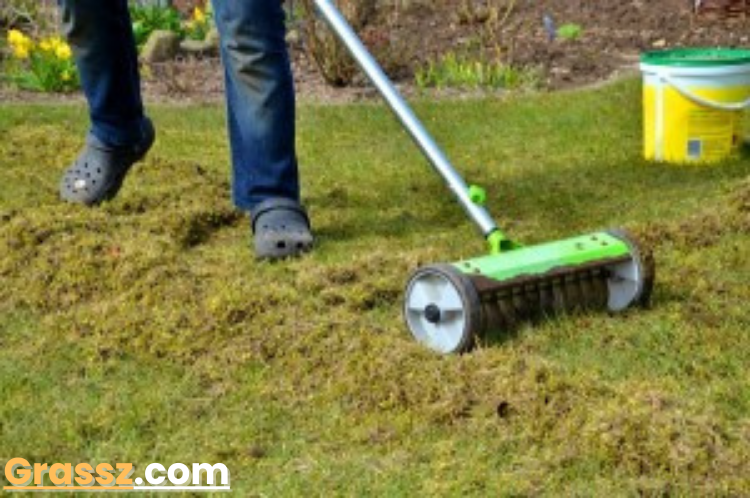 When to Aerate Bermuda Grass?