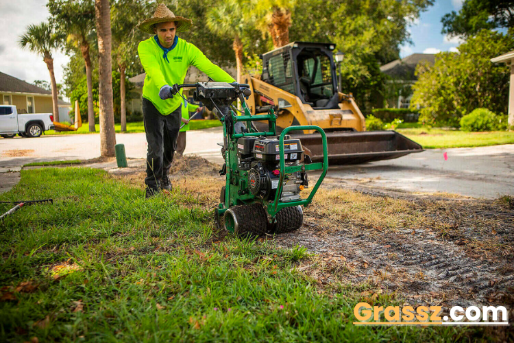 When to plant Bermuda grass in Texas?