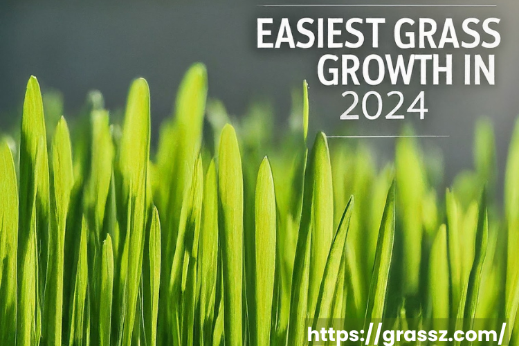 Easiest Grass Growth in 2024