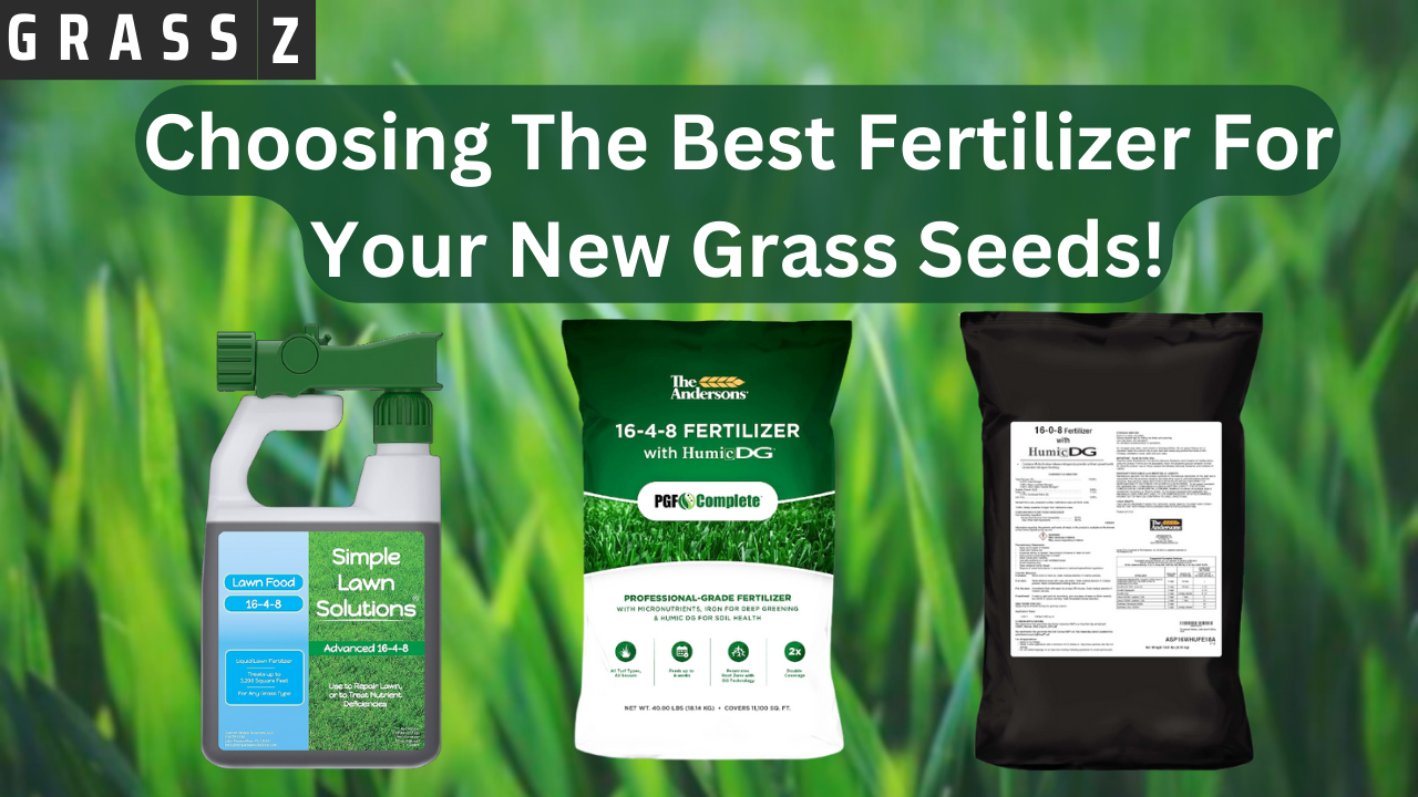 What Is The Best Fertilizer For New Grass Seed?