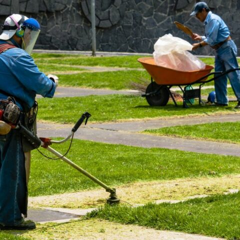 String Trimmer (Weed Whacker) For Trimming Grass