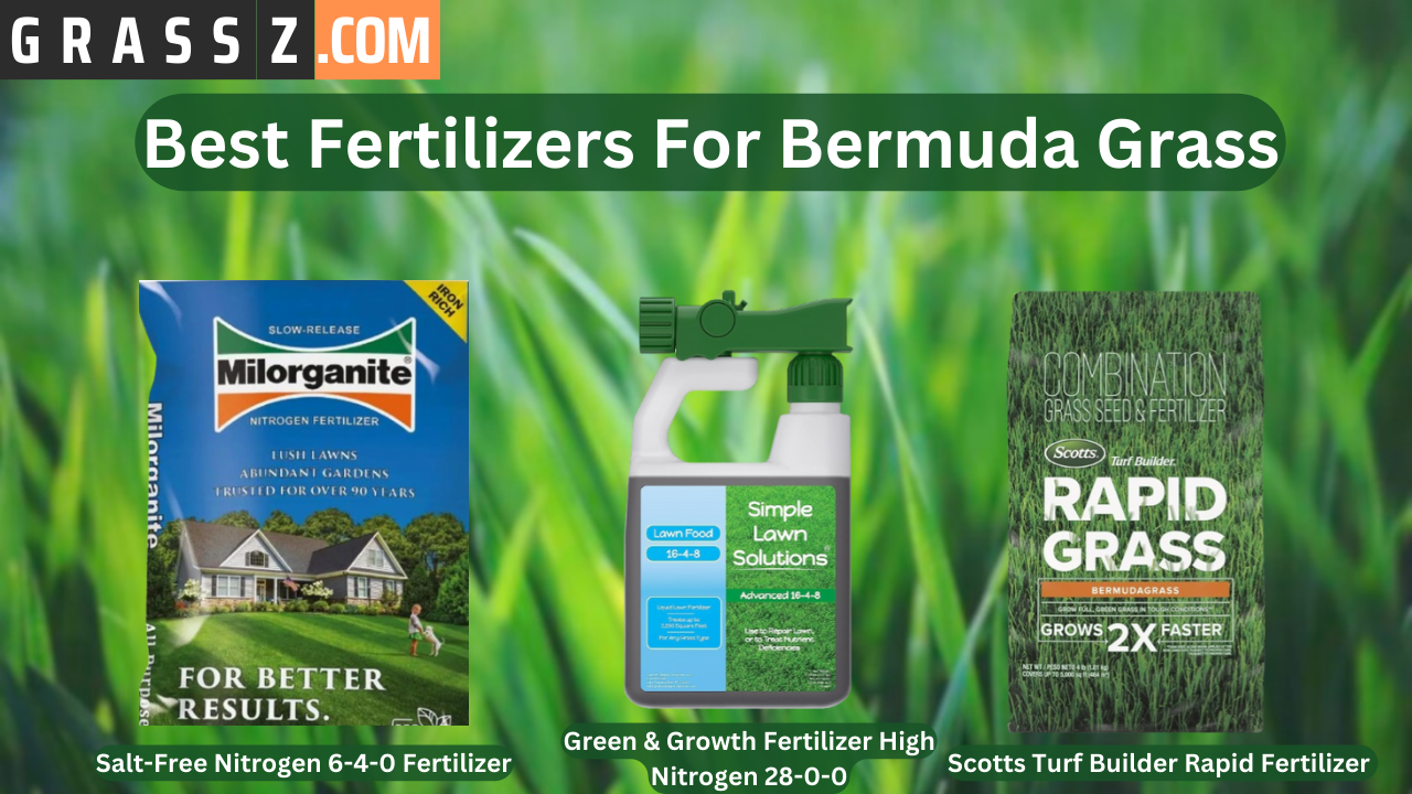 Best-Fertilizer-For-Bermuda-Grass