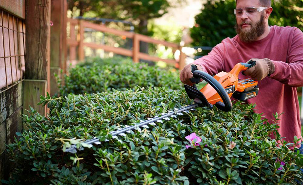 Bush Trimming For Lawns