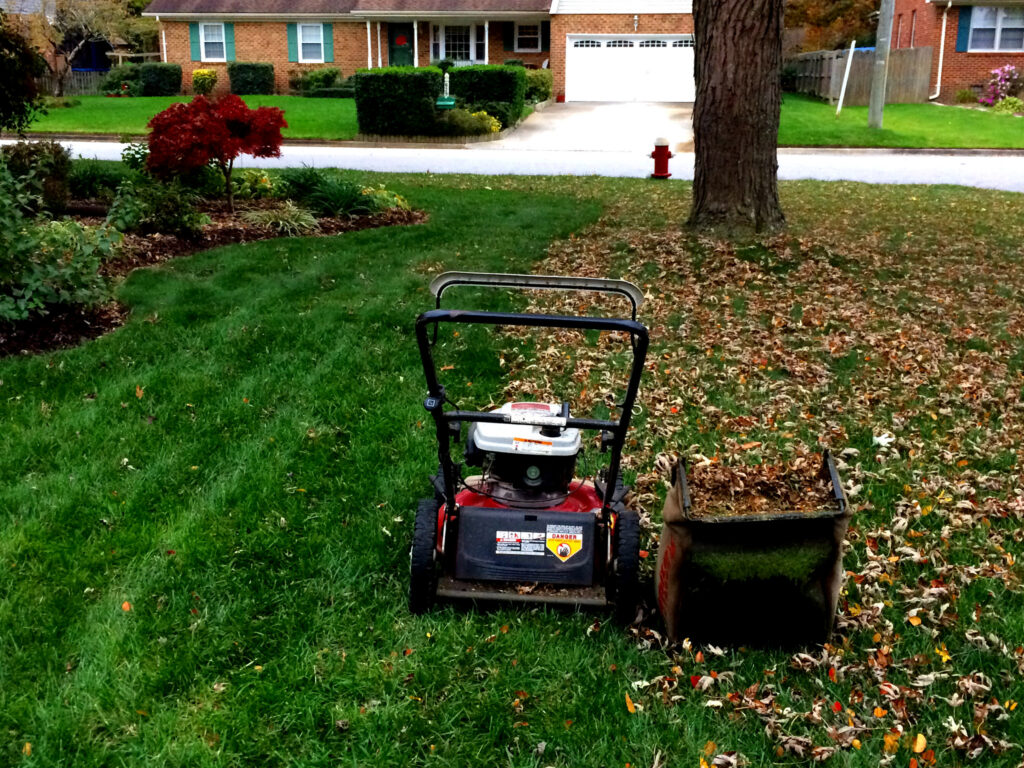 Leaf Removal For lawn