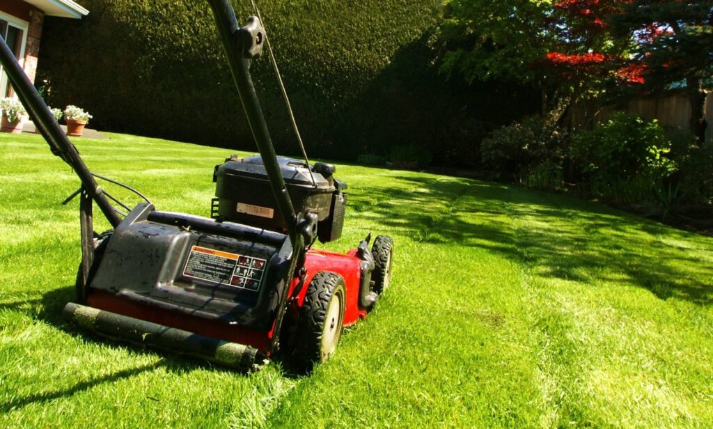 Mowing For Lawn Care - Cost and Guide