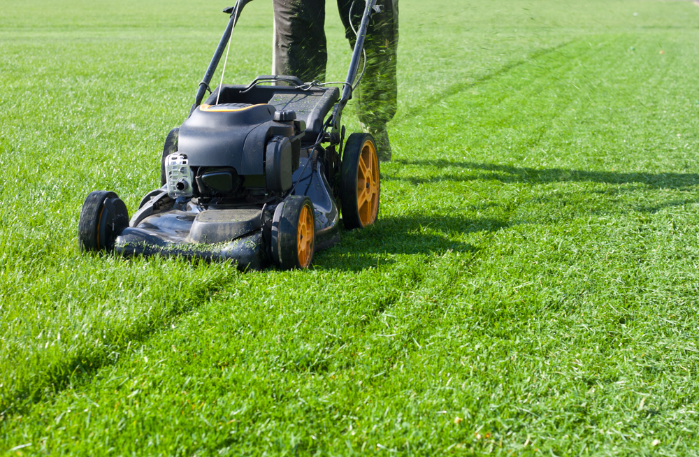 Mulching Grass or lawn