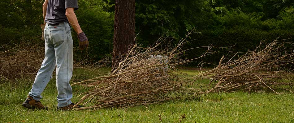 Yard Cleanups