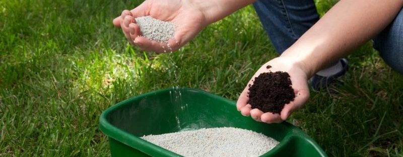 Fertilizing Of Lawn