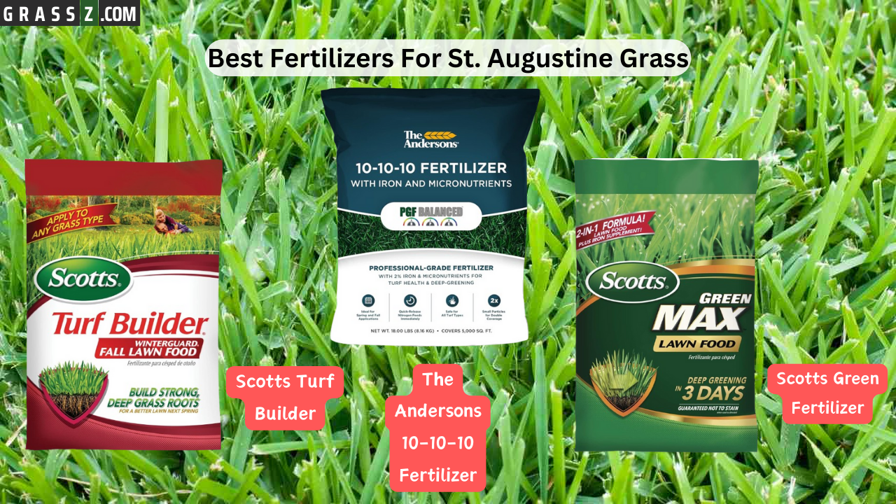 Best Fertilizers For St Augustine Grass