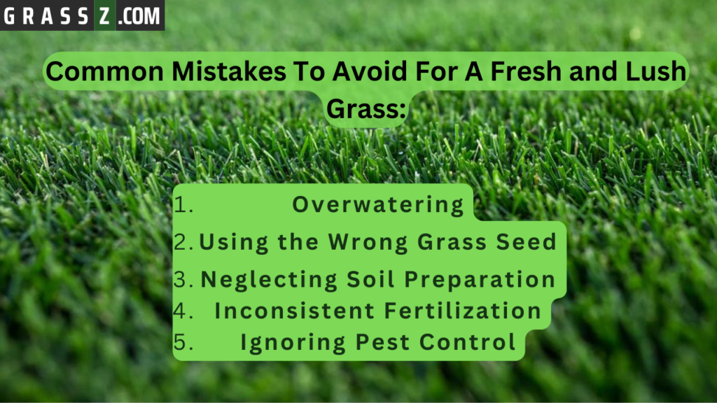 Common Mistakes to Avoid When Regrowing Grass