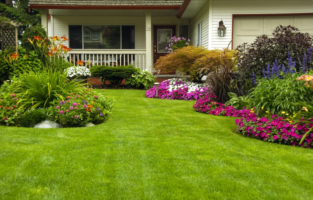 St Augustine Grass Beautiful lawn In Florida