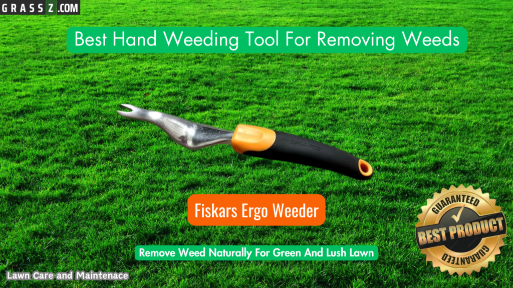 Best Hand Weed Removing Tool