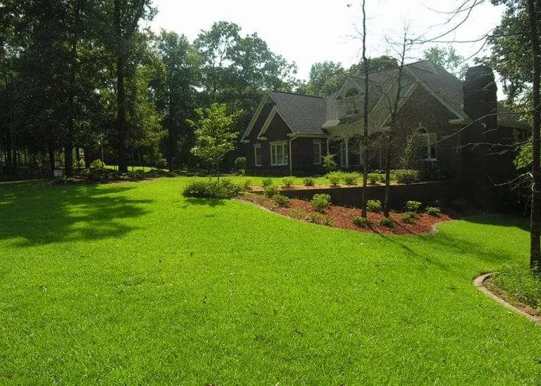 Centipede Grass Lawn