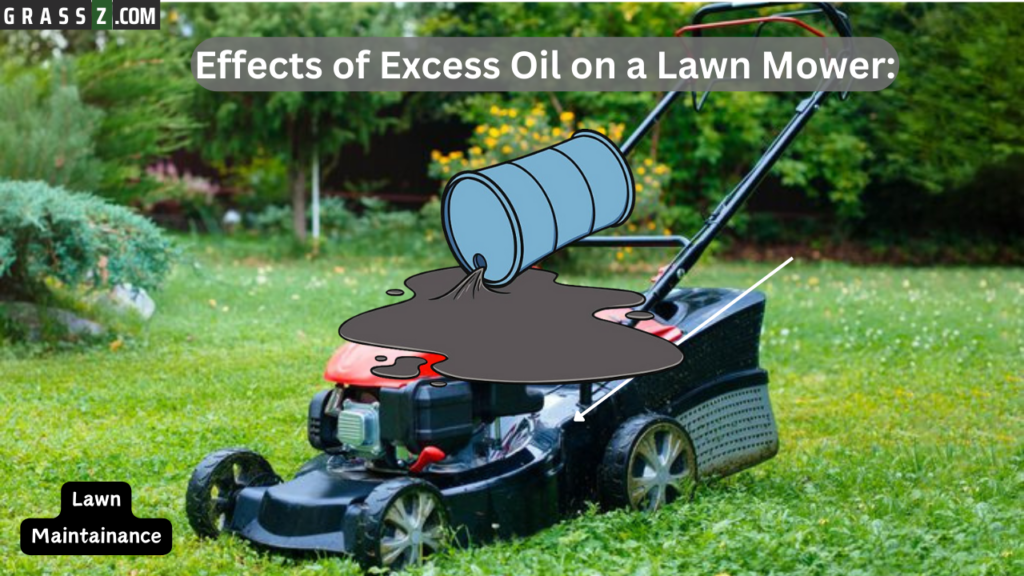 Effects of Excess Oil on a Lawn Mower: