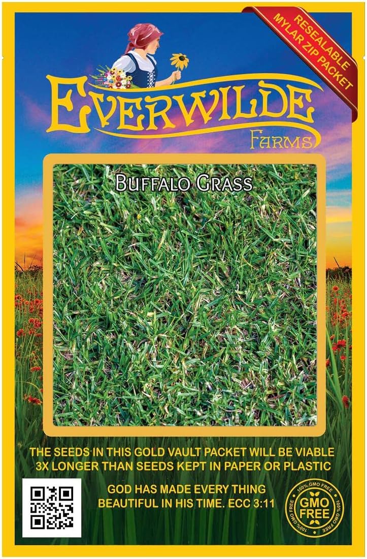 Everwilde Farms - 100 Buffalo Grass Native Grass Seeds for sandy soil low maintenance