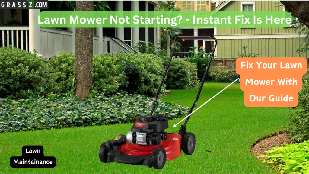 Diagnosing and Resolving Lawn Mower Starting Problem