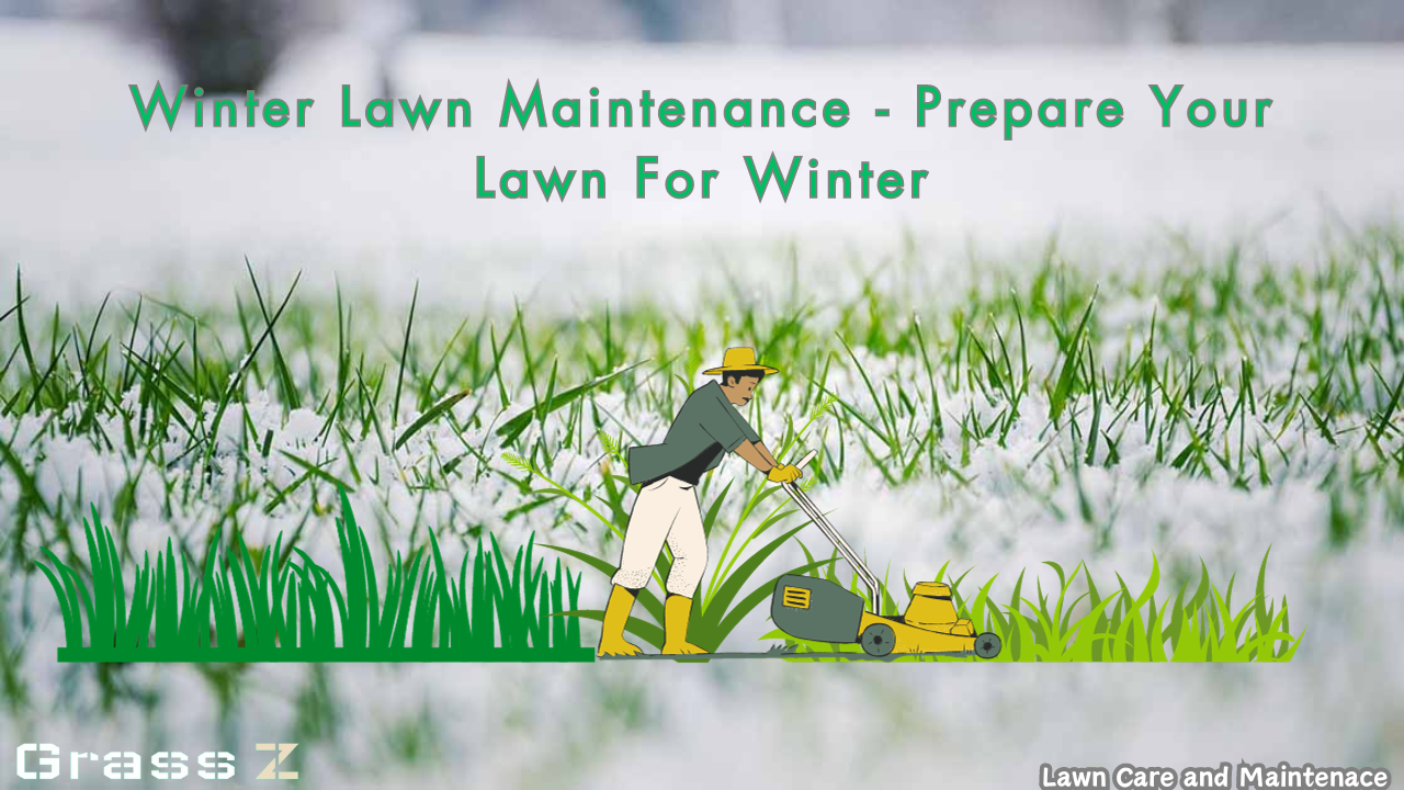 A Complete Guide To Winter Lawn Preparation