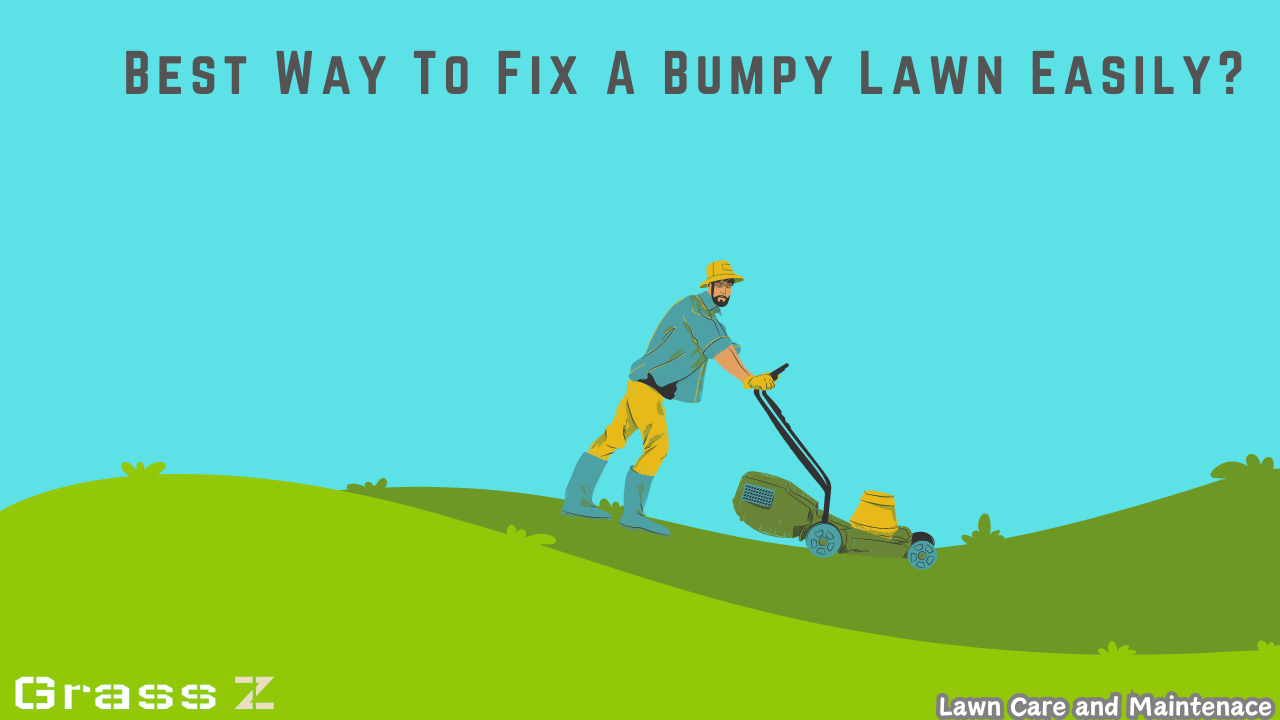 Best Way To Fix A Bumpy Lawn Easily?